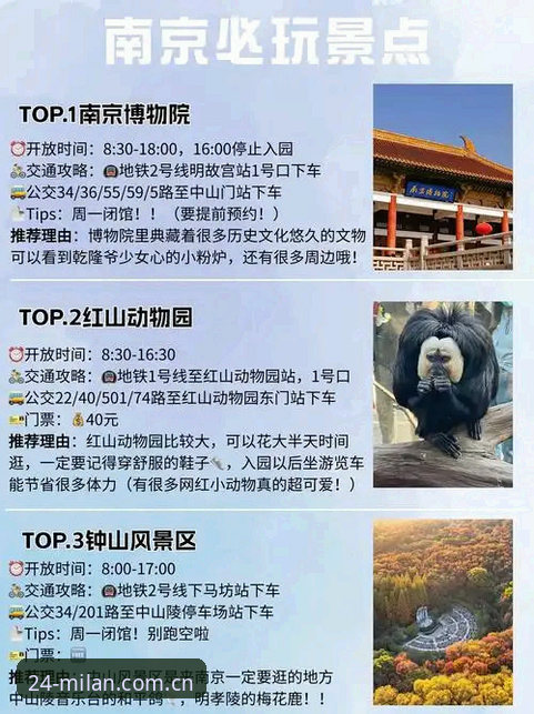 米兰官方mlapp下载地址避坑指南：深度评测MILAN中国24Edition预约渠道